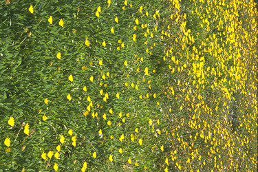 Similar image 8167985