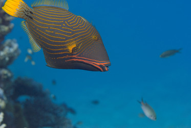 Similar image 8167987