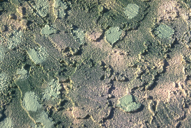 Similar image 8167989