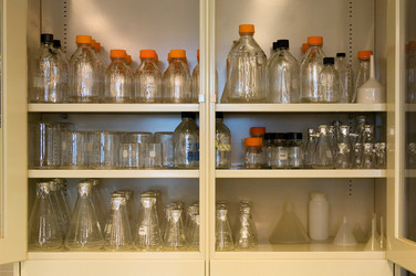 Similar image 8167992