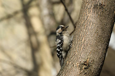 Similar image 8168003