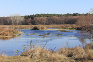 Similar image 8168010