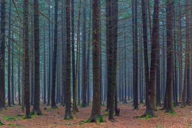 Similar image 8168045