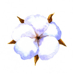 Similar image 8168121