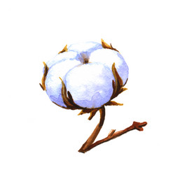 Similar image 8168122