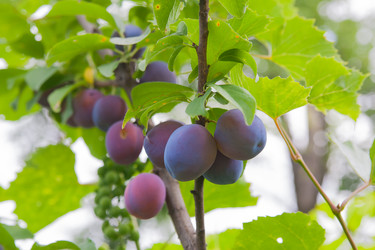 Similar image 8168125