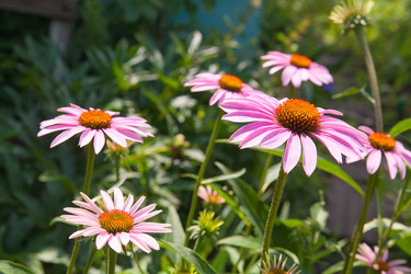 Similar image 8168127