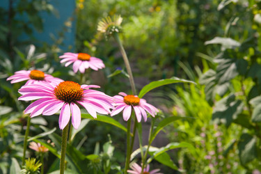 Similar image 8168128