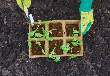 Similar image 8168158