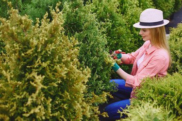 Similar image 8168159