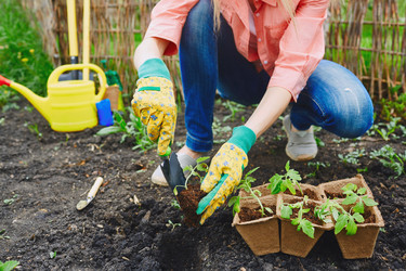 Similar image 8168172