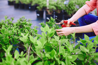 Similar image 8168177