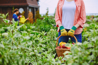 Similar image 8168189