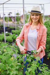 Similar image 8168195