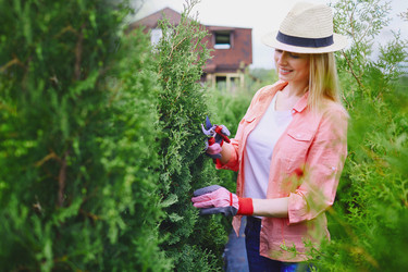 Similar image 8168201