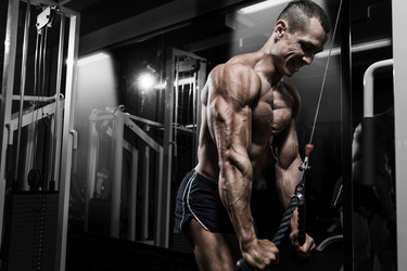 Similar image 8168411