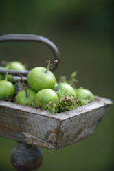 Similar image 8168510