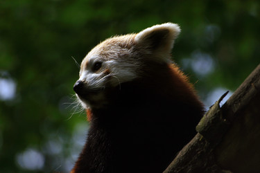 Similar image 8168513