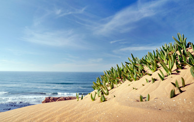 Similar image 8168516