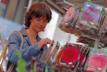 Similar image 8168545