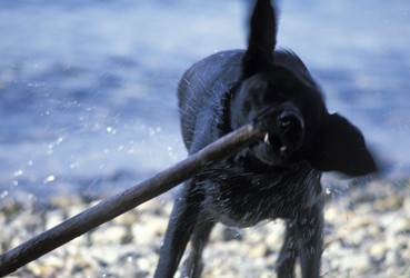 Similar image 8168550