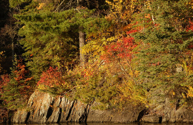 Similar image 8168553