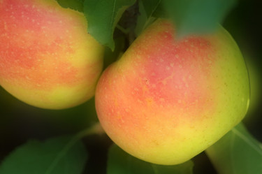 Similar image 8168554