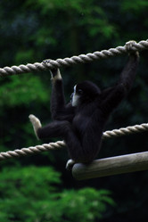 Similar image 8168558