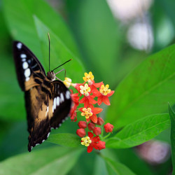 Similar image 8168563