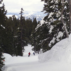 Similar image 8168611