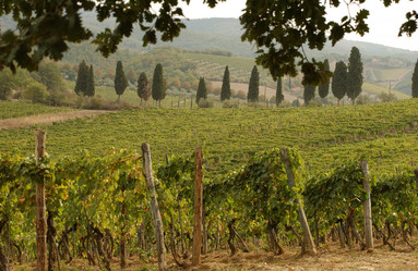 Similar image 8168613