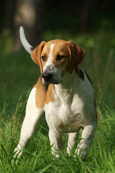 Similar image 8168620