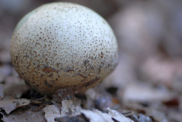 Similar image 8168622