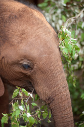 Similar image 8168651