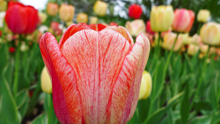 Similar image 8168655