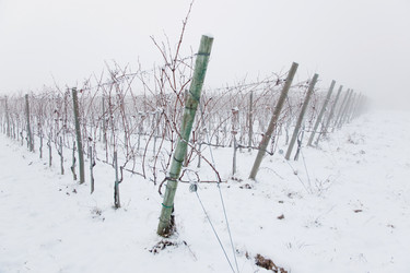 Similar image 8168687