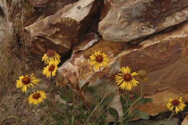 Similar image 8168735