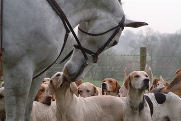 Similar image 8168737