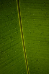 Similar image 8168742