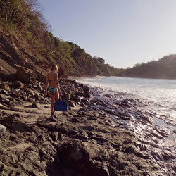 Similar image 8168750