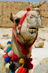 Similar image 8168754