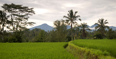 Similar image 8168756