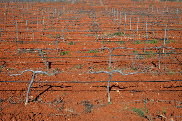 Similar image 8168775