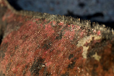 Similar image 8168783