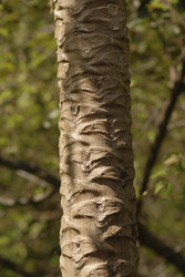 Similar image 8168785