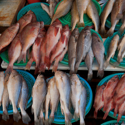 Similar image 8168798