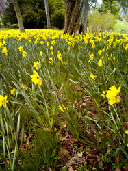 Similar image 8168799