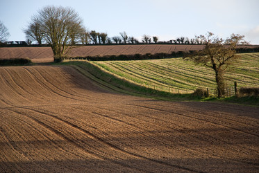 Similar image 8168800