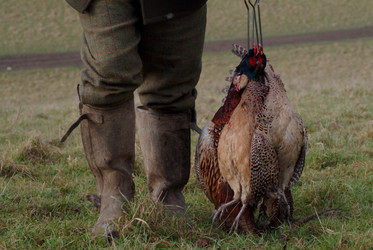 Similar image 8168802