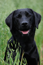 Similar image 8168837